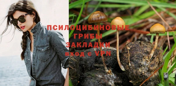 Альфа ПВП Арсеньев