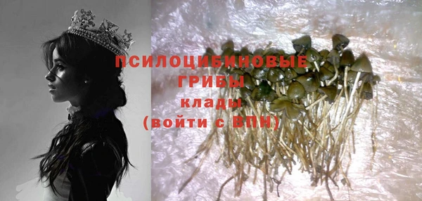 ПСИЛОЦИБИНОВЫЕ ГРИБЫ Аркадак