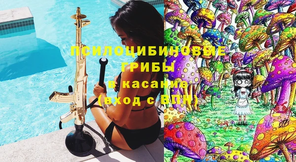 ПСИЛОЦИБИНОВЫЕ ГРИБЫ Аркадак