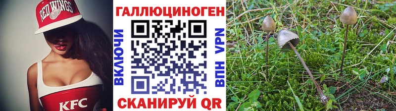 ОМГ ОМГ ССЫЛКА Олёкминск Псилоцибиновые грибы MAGIC MUSHROOMS где купить наркоту